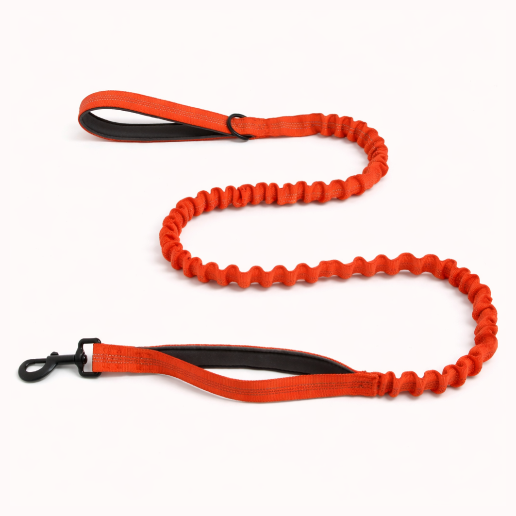 🎁 Laisse élastique SENIUM offerte