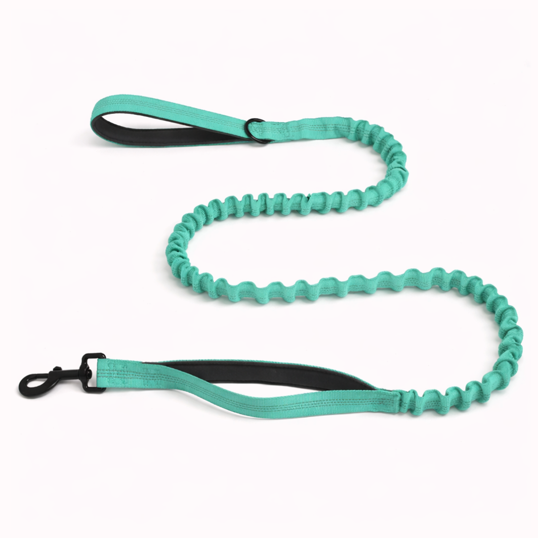 🎁 Laisse élastique SENIUM offerte