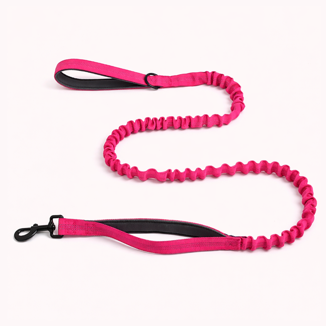 🎁 Laisse élastique SENIUM offerte