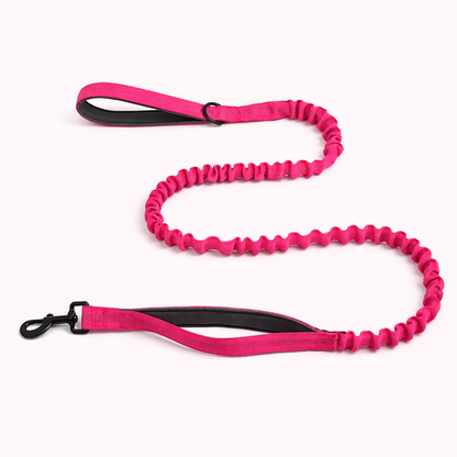 🎁 Laisse élastique SENIUM offerte