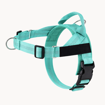 Vert turquoise