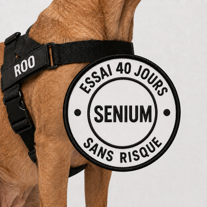 SENIUM – Harnais anti-traction pour chien