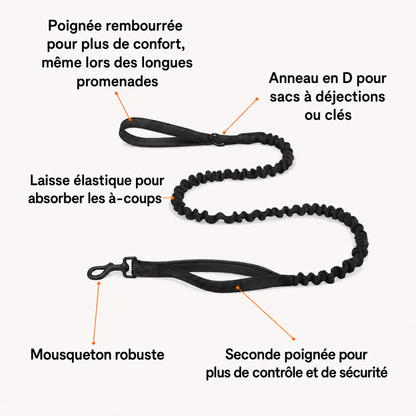 SENIUM – Harnais anti-traction pour chien