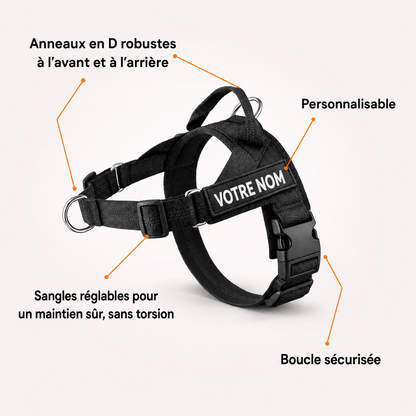 SENIUM – Harnais anti-traction pour chien