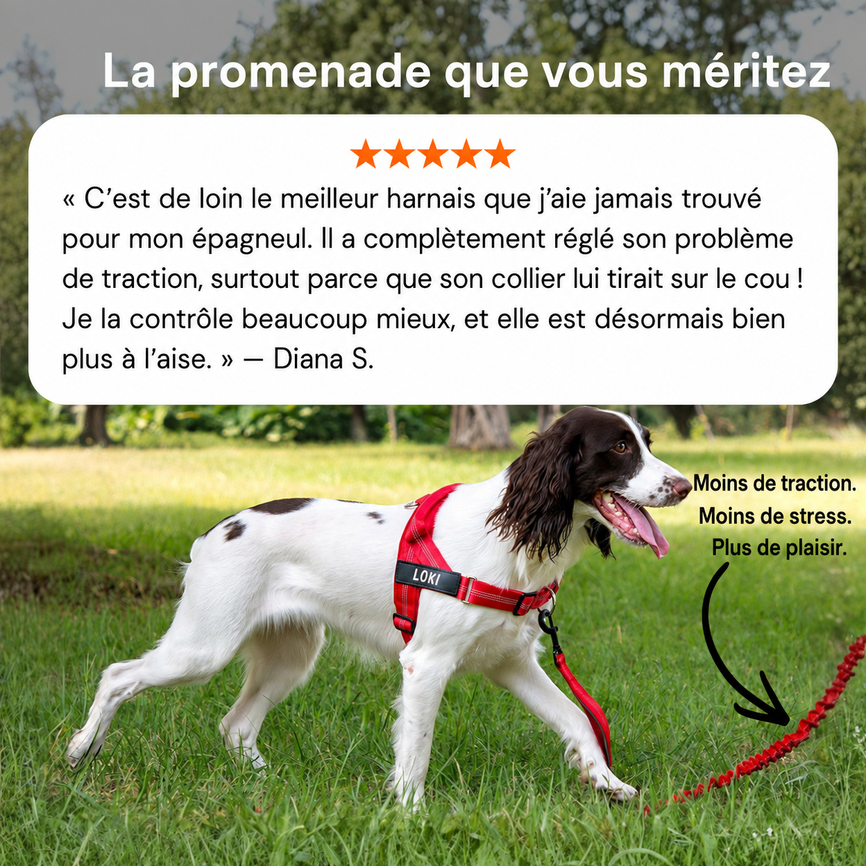 SENIUM – Harnais anti-traction pour chien