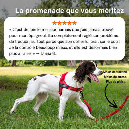 SENIUM – Harnais anti-traction pour chien