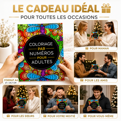 Livre de coloriage par numéros